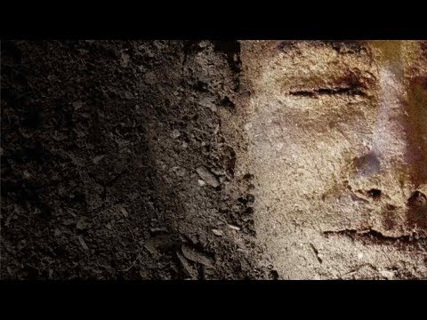 Genesis 2:4-25, Making Humans (1/21/18)