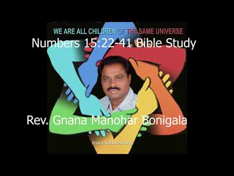 Unintentional wrong:  Numbers 15: 22-41 Bible Study