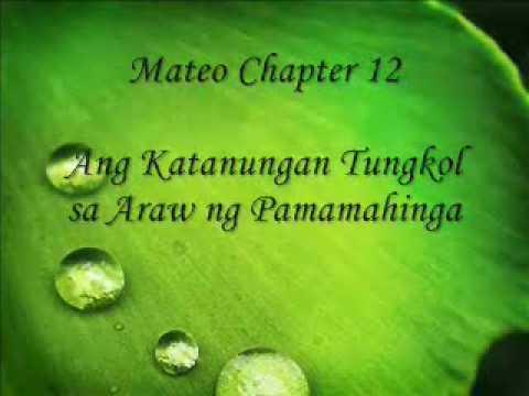 Patnubay Bible Study Matthew 12:1-8 Part One