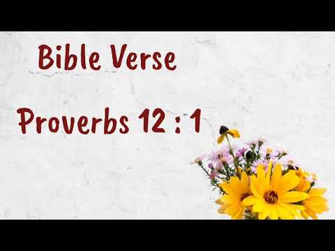Proverbs 12 : 1 || Memorizing Bible Verse