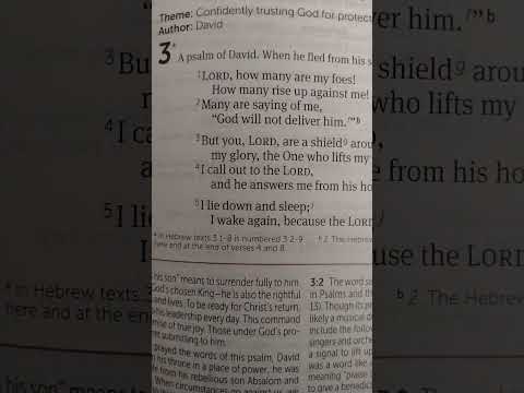 A Psalm of David. When He Fled From His Son Absalom. Psalm 3:1-5