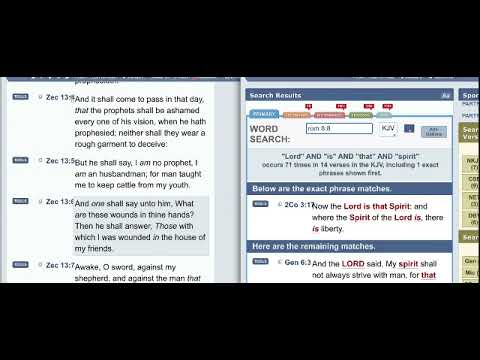 Zechariah 13:6 - The Wounds of the False Prophet's House/Temple