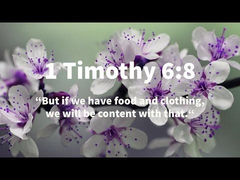 Men Bible Study - 1 Timothy 6:8