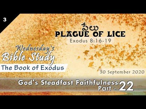 The Book of Exodus 8: 16-19 II Wednesday Bible Study II Part 22