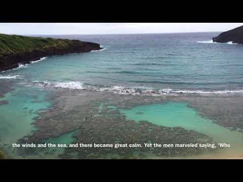 Lord Save Us!... Matthew 8:23-27, Mark 4:36-41, Luke 8:22-25