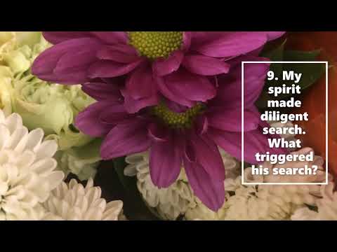 How To Find God's Way In The sanctuary Bible Study 13 | Psalms 77:4-6