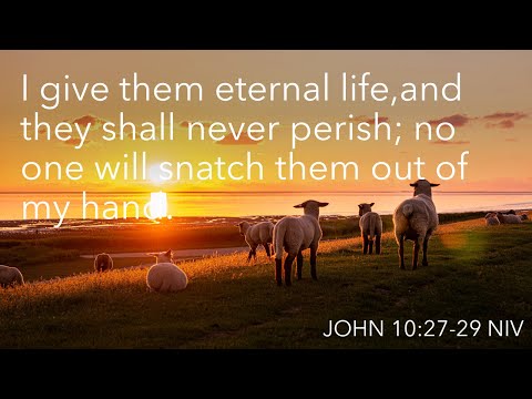 John 10:27-29