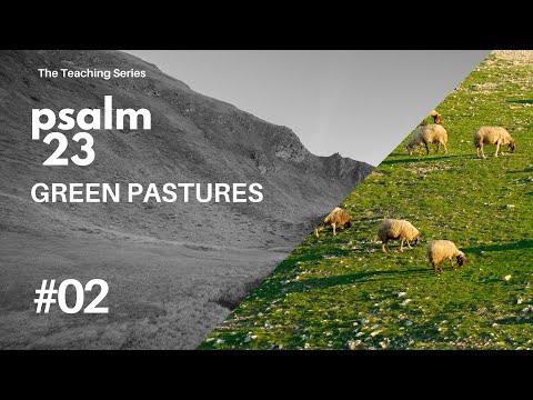 Teaching Series EP035 - Psalm 23 Pt 2: Green Pastures