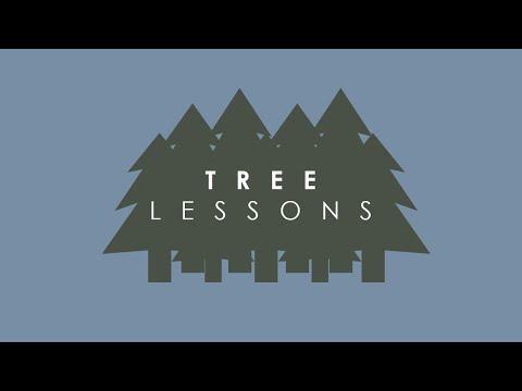Tree Lessons - 5/16/21 (Joshua 17:14-18