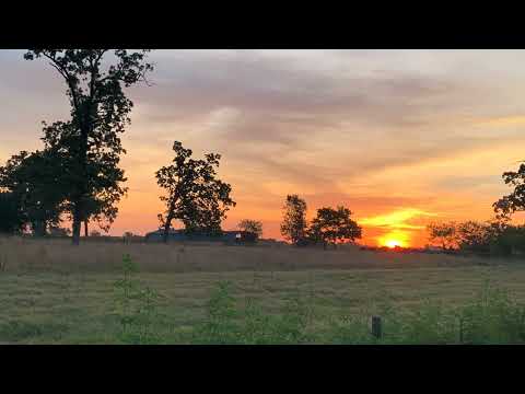 Coffee Break   (5 Minutes with God) Psalm 114:1-6