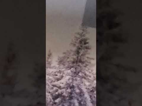 Israel's judgment and restoration Ezekiel 20:30-44