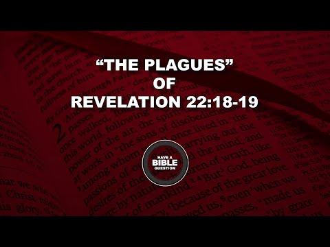 Question Regarding The Plagues Of Revelation 22:18-19