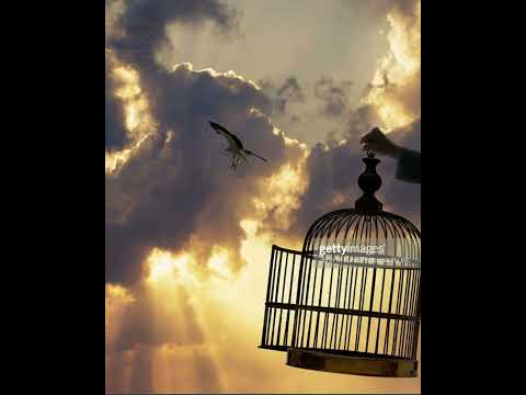 Our soul has escaped as a bird from the snare of the fowlers; The snare is .........◄Psalm 124:7-8►