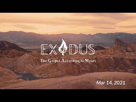 Exodus - None Like Him (Exodus 13:17-15:21)