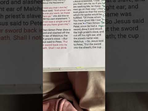 The reading of John 18:10–11￼