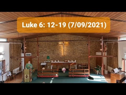Today's Holy Gospel: Homily and Reflection: Luke 6: 12-19 (7/09/2021) Fr Andrew Lee????????????