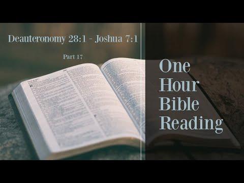 Read The Entire Bible (Part 17) - 1 Hour Bible Reading (Deuteronomy 28:1 - Joshua 7:1)