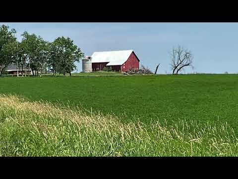 Coffee Break   (5 Minutes with God) Psalm 119:137-139