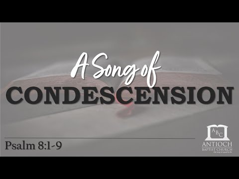 A Song of Condescension (Psalm 8:1-9)