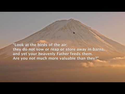 Creation Meditation | Matthew 6:26