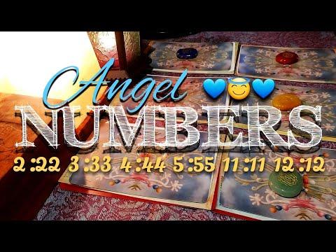 Angel Numbers 2:22 3:33 4:44 5:55 11:11 12:12 | Pick A Card Tarot | Timeless | ????????????