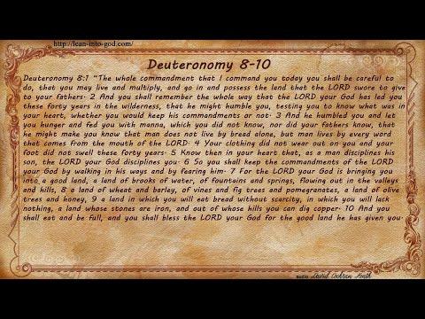Deuteronomy 8-10