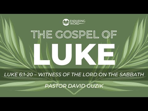 Luke 6:1-20 - Witness of the Lord of the Sabbath