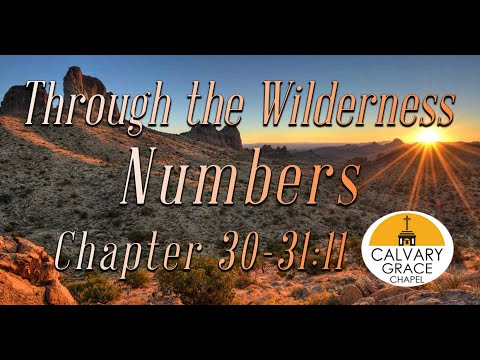 Lord, this is Strange, But I Trust You -- Numbers 30-31:11