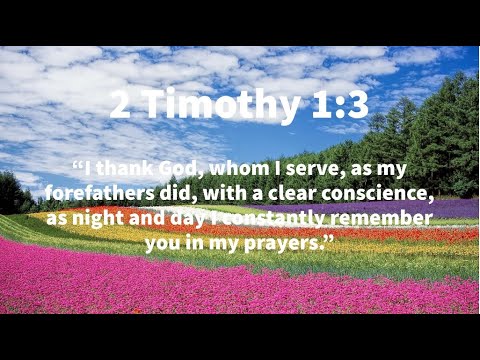 Men Bible Study - 2 Timothy 1:3