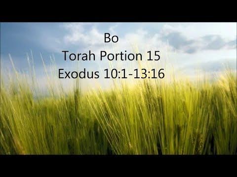 GO TO PHARAOH!! EXODUS 10:1- EXODUS 13:1-16
