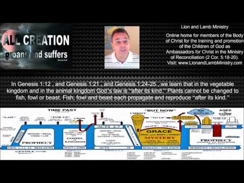 Romans 8:22: Why the Whole of Creation Groans in Pain