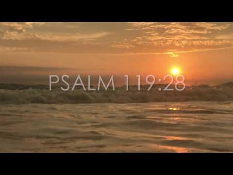 Daily Bible Verse | PSALM 119:28