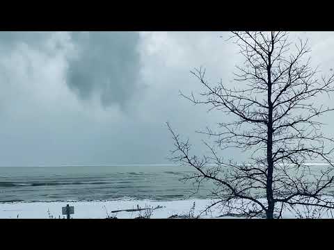 Scripture Verse By Verse  (2022) Second Kings 9:27-10:19