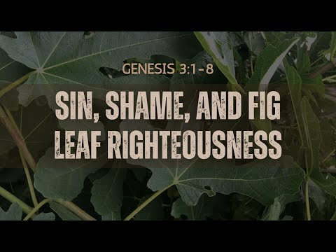 Sin, Shame, And Fig Leaf Righteousness [ Genesis 3:1-8 ] by Robin Brown