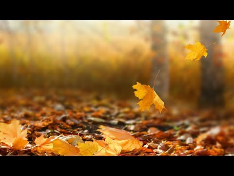 "The Autumn Leaves" Isaiah 64:6 - #ChristianCoffeeTime