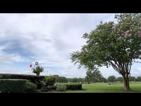 Day 197~ July 16~ 1 Chronicles 22:1-23:32, Romans 3:9-31, Psalm 12:1-8, Proverbs 19:13-14