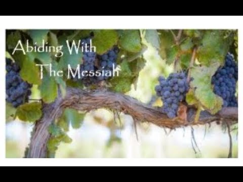 C. C. Naz. 5-1-22 “Seeing People As Jesus Saw People!” Mark 2:13—17 “Do you tend to accuse; or ...?”