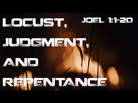 Locusts, Judgment, and Repentance | Joel 1:1-20 - Joshua Kuipers