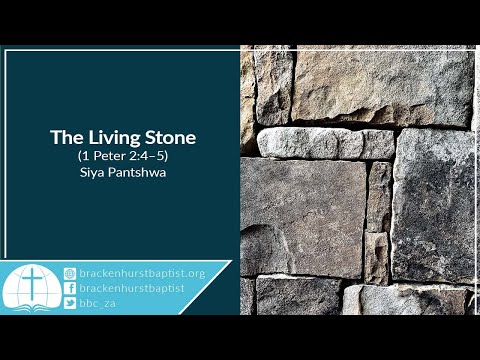 The Living Stone (1 Peter 2:4–5)