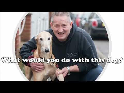 'Learning From Travel Plans' (1 Corinthians 16) - 31st July 2022 AM