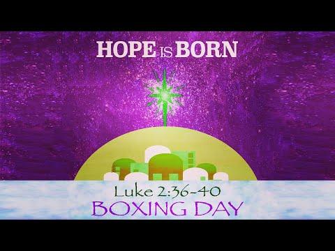 Boxing Day -  Luke 2:36 - 40
