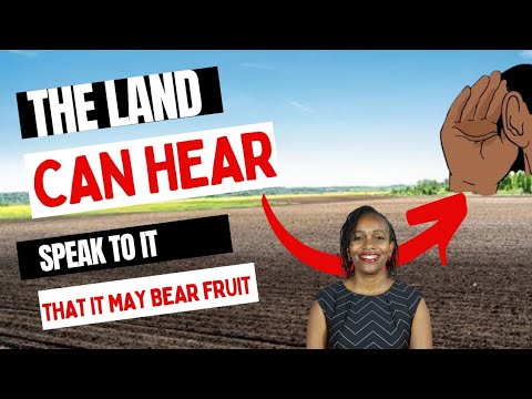 Speak to the Land: Creation Series: Genesis 2:4-6 | Bible Stories with Antoninah | Ep. 24