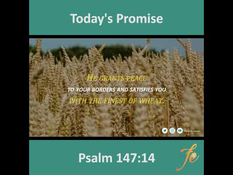 Today's Promise (Psalm 147:14) English