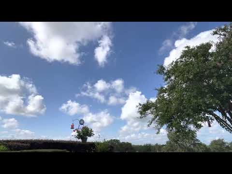 Day 206~ July 25~ 2 Chronicles 14:1-16:14, Romans 9:1-24, Psalm 19:1-14, Proverbs 20:1