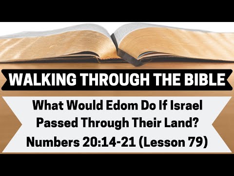 What Would Edom Do If Israel Passed Through Their Land? [Numbers 20:14-21][Lesson 79][WTTB]