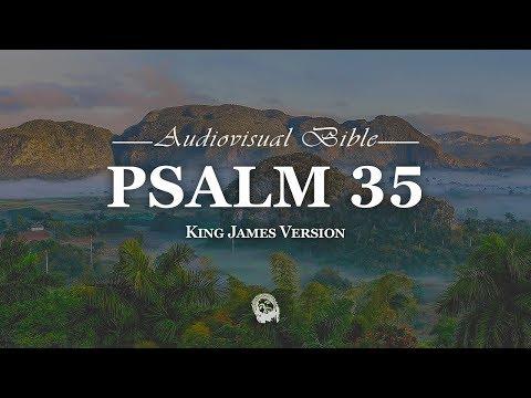 Psalm 35:1-28 King James Version (KJV)