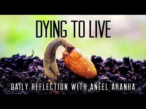 Daily Reflection with Aneel Aranha | Mark 4:26-34 | January 31, 2020