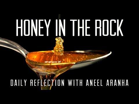 Daily Reflection With Aneel Aranha | John 6:60-69 | May 11, 2019