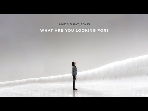 What Are You Looking For? | Amos 5:6-7, 10-15 | Twentieth Sunday after Pentecost