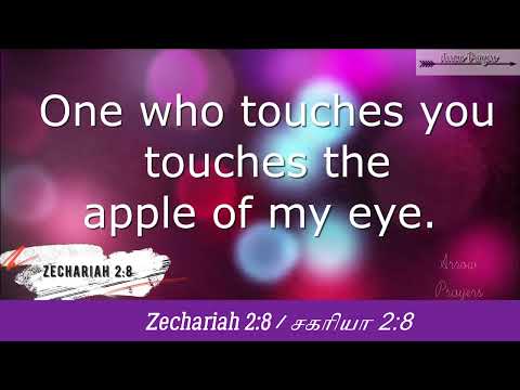 Bible verse for the day || Zechariah 2:8 || Verses to make your day thoughful